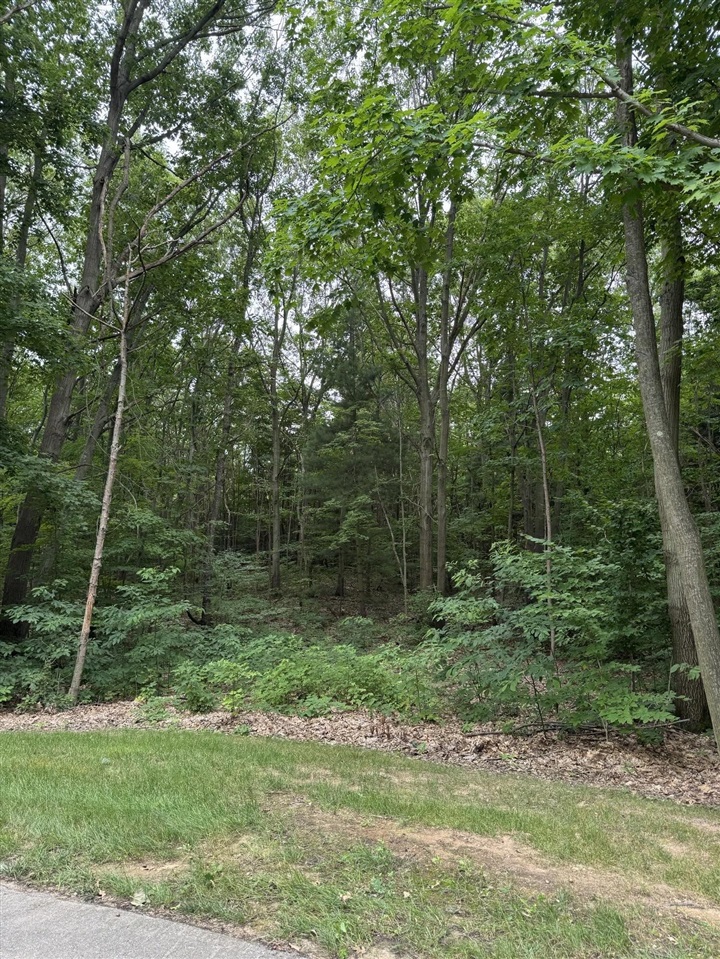 Homes for sale in South Haven, MI | 76757 Wood Crest Court, South Haven, MI 49090 | MLS# 70485330