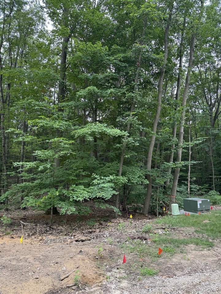 Homes for sale in South Haven, MI | 76757 Wood Crest Court, South Haven, MI 49090 | MLS# 70485330