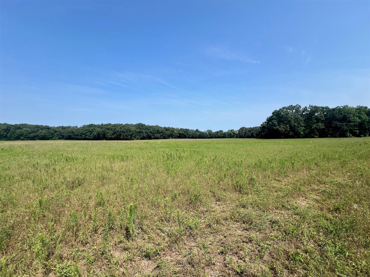 Homes for sale in Dowagiac, MI | 57156 S M 51, Dowagiac, MI 49047 | MLS# 70485414