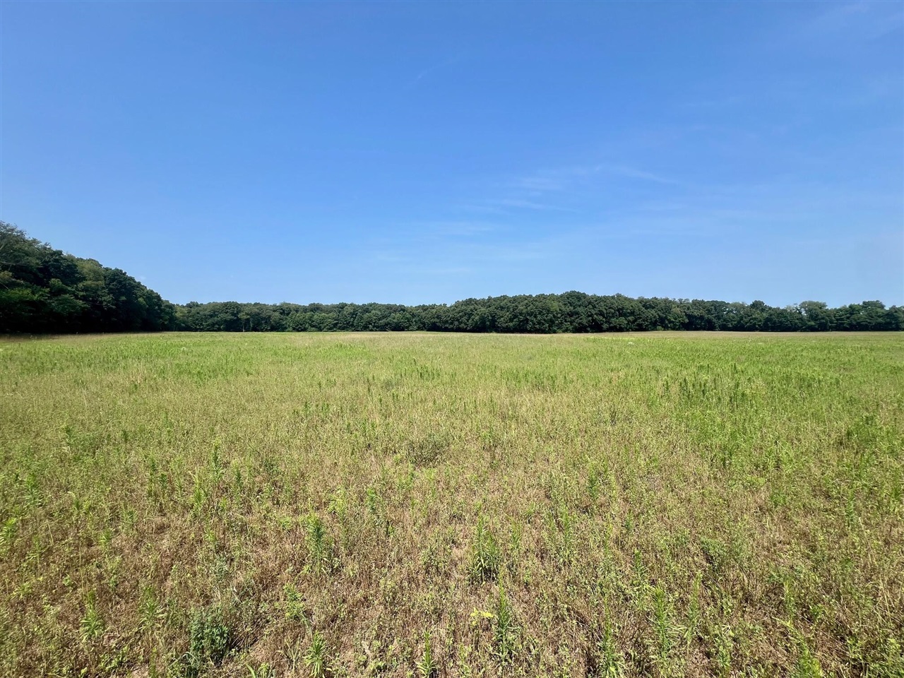 Homes for sale in Dowagiac, MI | 57156 S M 51, Dowagiac, MI 49047 | MLS# 70485414