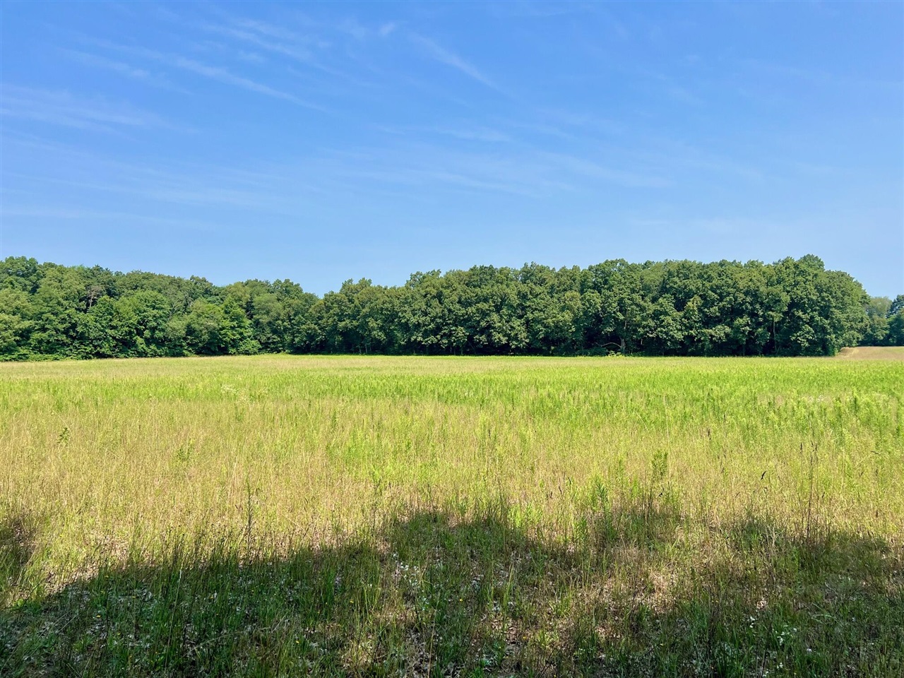 Homes for sale in Dowagiac, MI | 57156 S M 51, Dowagiac, MI 49047 | MLS# 70485414