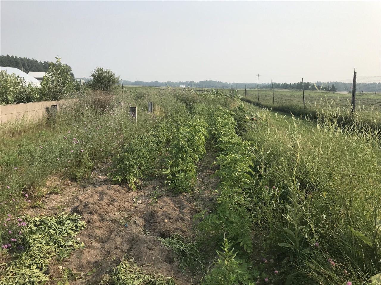 Homes for sale in Rudyard, MI | 21955 S Steinbeck Rd, Rudyard, MI 49780 | MLS# 70485567