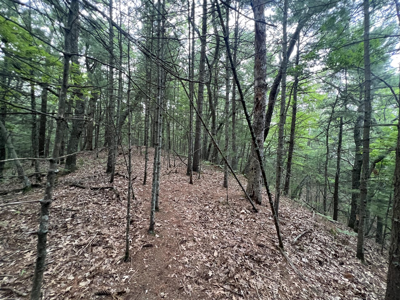 Homes for sale in Pentwater, MI | V/l A Lenox Ave, Pentwater, MI 49449 | MLS# 70485578