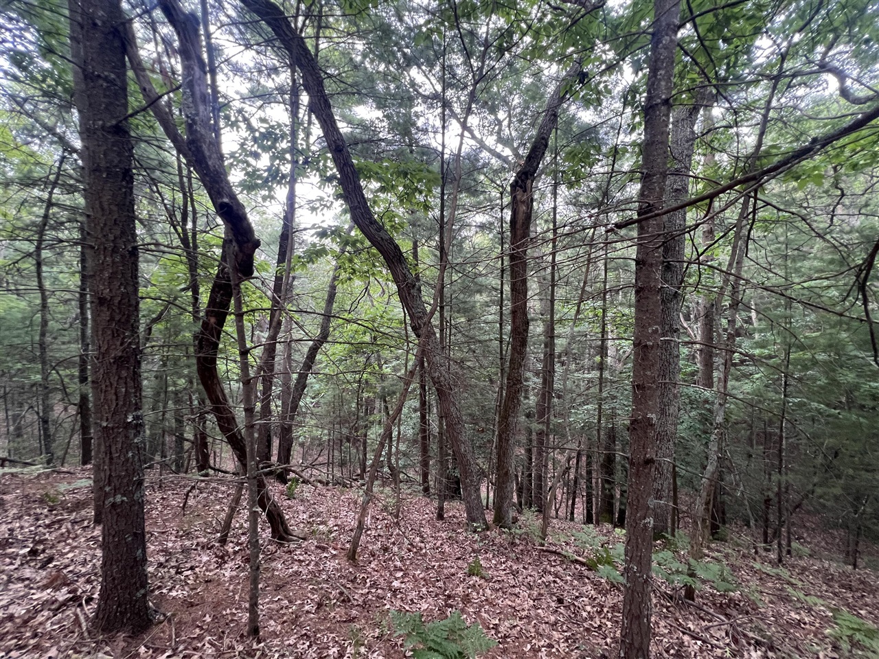 Homes for sale in Pentwater, MI | V/l A Lenox Ave, Pentwater, MI 49449 | MLS# 70485578