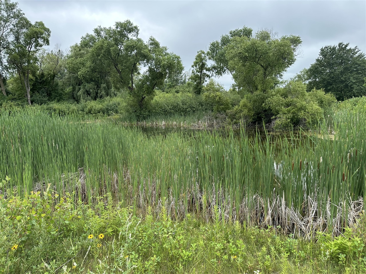 Homes for sale in Hart, MI | 10 Parcel Comfort Dr, Hart, MI 49420 | MLS# 70485651