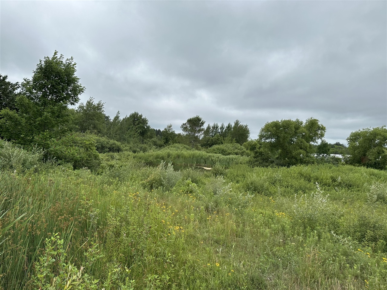 Homes for sale in Hart, MI | 9 Comfort Dr, Hart, MI 49420 | MLS# 70485652