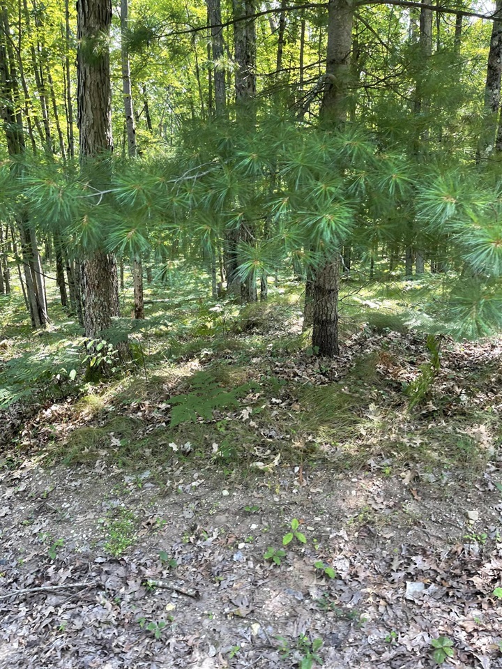 Homes for sale in Irons, MI | 10897 N Mac Rd, Irons, MI 49644 | MLS# 70485837