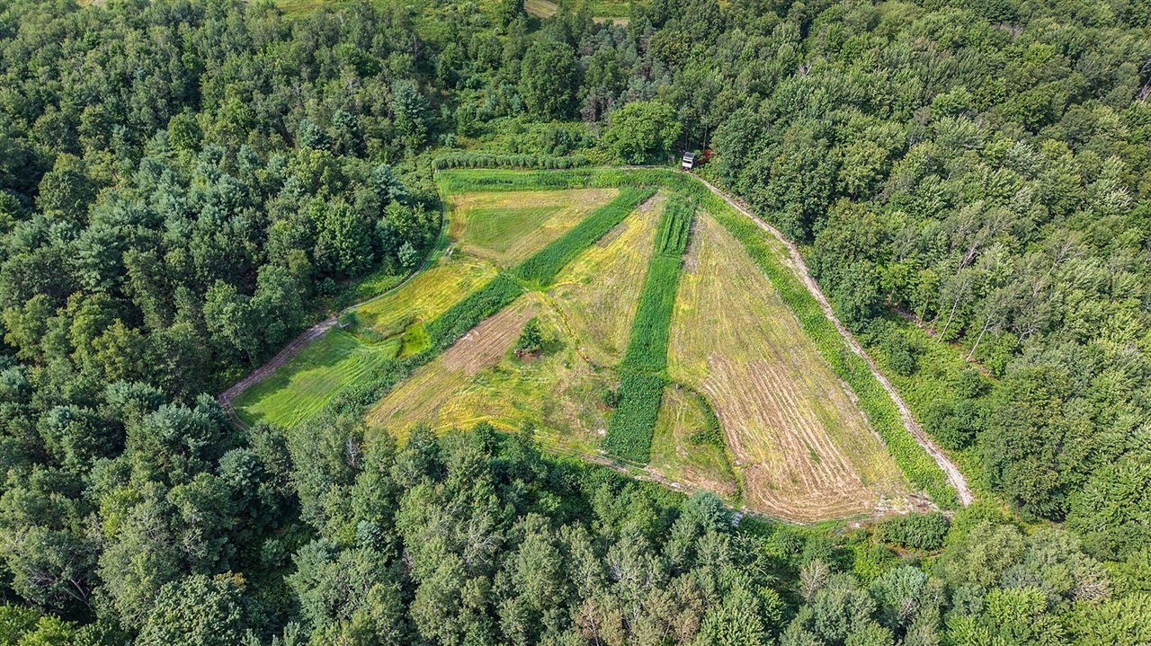 Homes for sale in Hesperia, MI | 3431 E M-20, Hesperia, MI 49421 | MLS# 70486276