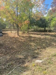 Homes for sale in Onsted, MI | 8924 Sussex Ct Ct, Onsted, MI 49265 | MLS# 70486507