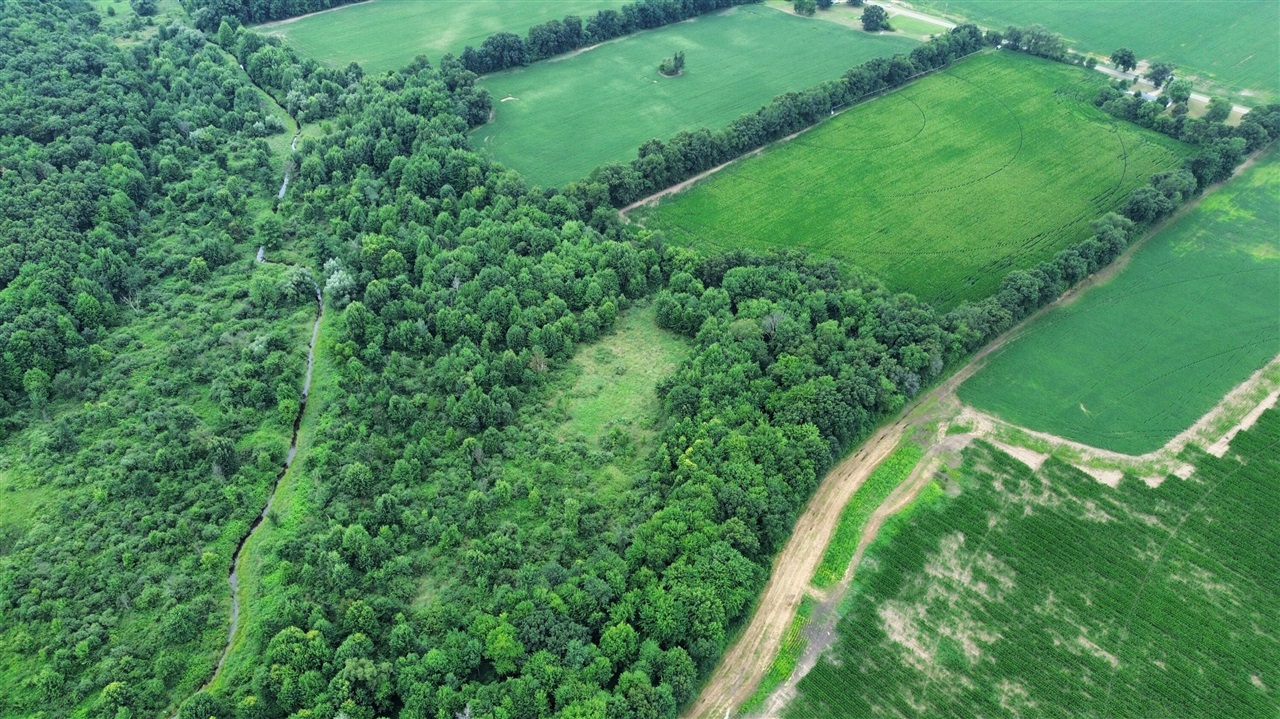 Homes for sale in Three Rivers, MI | 54539 Buckhorn Rd, Three Rivers, MI 49093 | MLS# 70487061