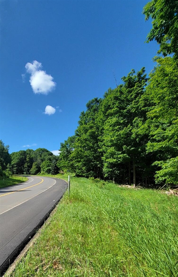 Homes for sale in Arcadia, MI | M22, Arcadia, MI 49613 | MLS# 70487068