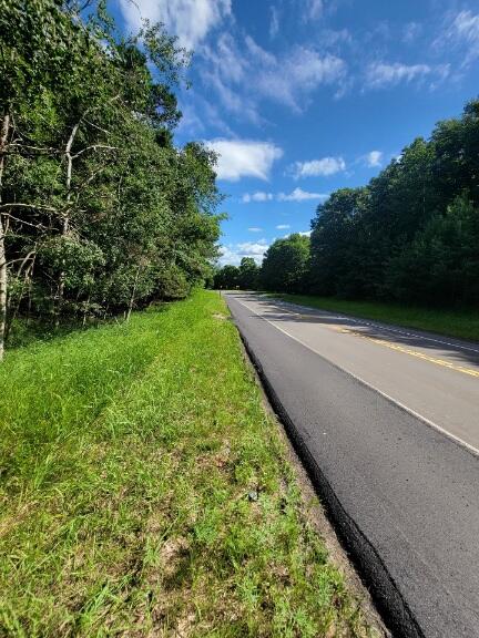 Homes for sale in Arcadia, MI | M22, Arcadia, MI 49613 | MLS# 70487068