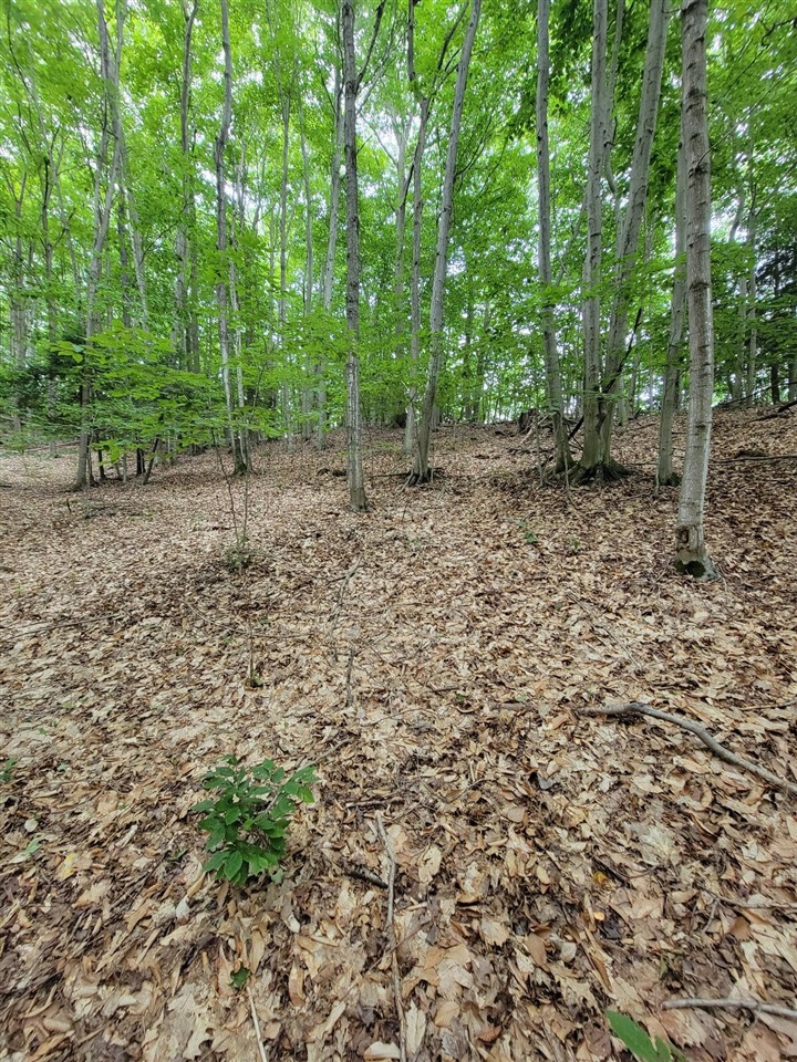 Homes for sale in Arcadia, MI | M22, Arcadia, MI 49613 | MLS# 70487068