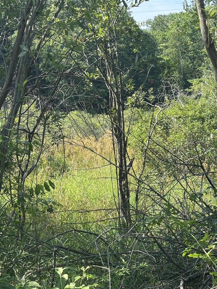 Homes for sale in Montague, MI | 0 Fruitvale Rd, Montague, MI 49437 | MLS# 70487456