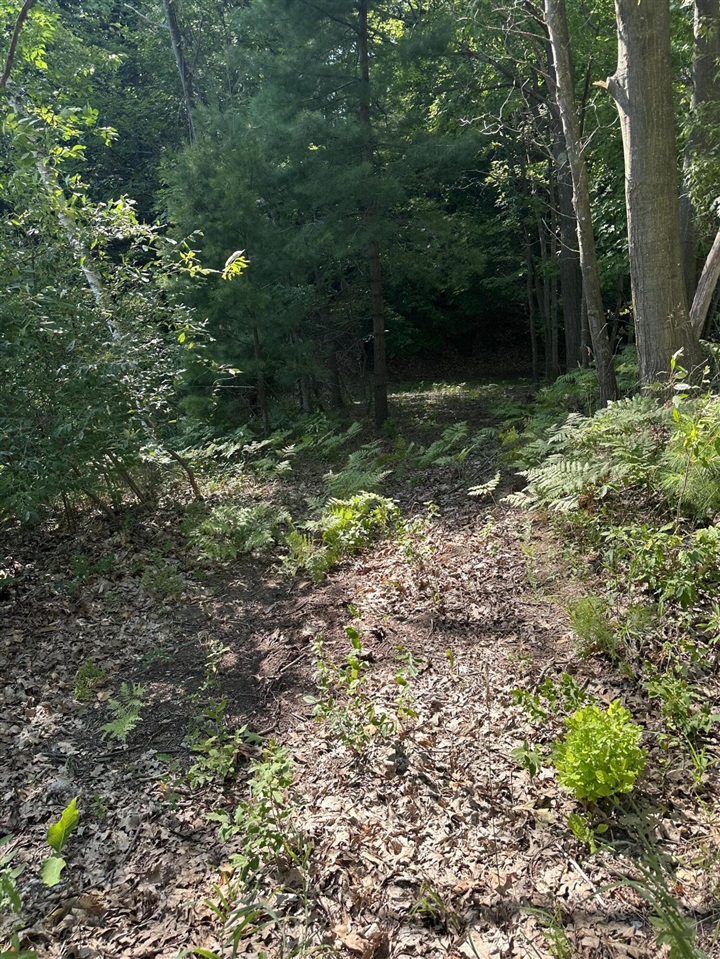 Homes for sale in Montague, MI | 0 Fruitvale Rd, Montague, MI 49437 | MLS# 70487456