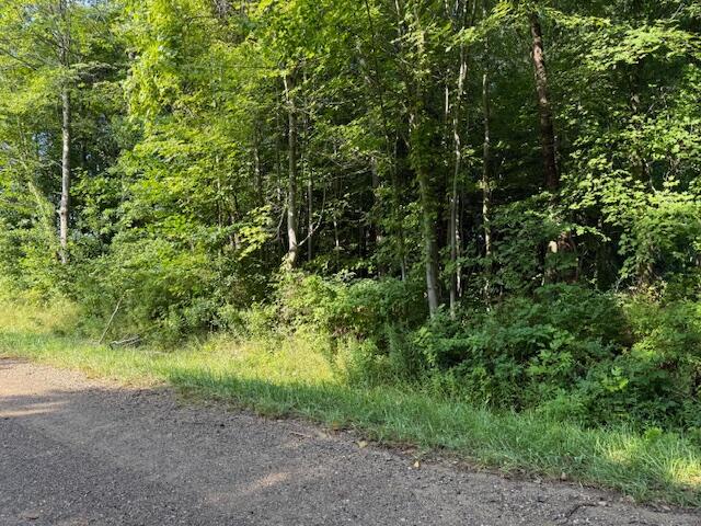 Homes for sale in Coloma, MI | 5815 Jefferson St, Coloma, MI 49038 | MLS# 70487581