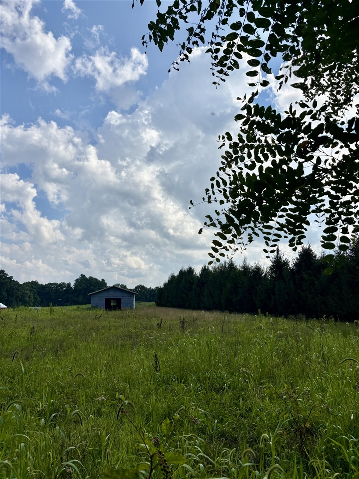 Homes for sale in Parma, MI | 0 Springport Rd, Parma, MI 49269 | MLS# 70487974