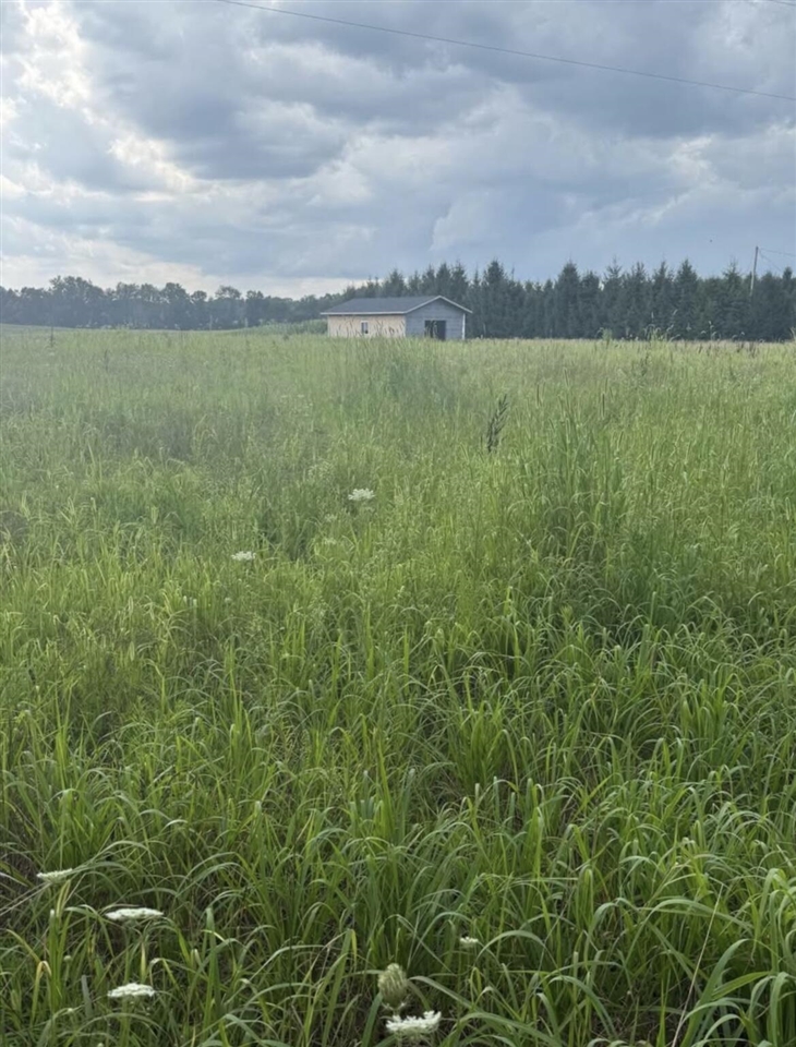 Homes for sale in Parma, MI | 0 Springport Rd, Parma, MI 49269 | MLS# 70487974