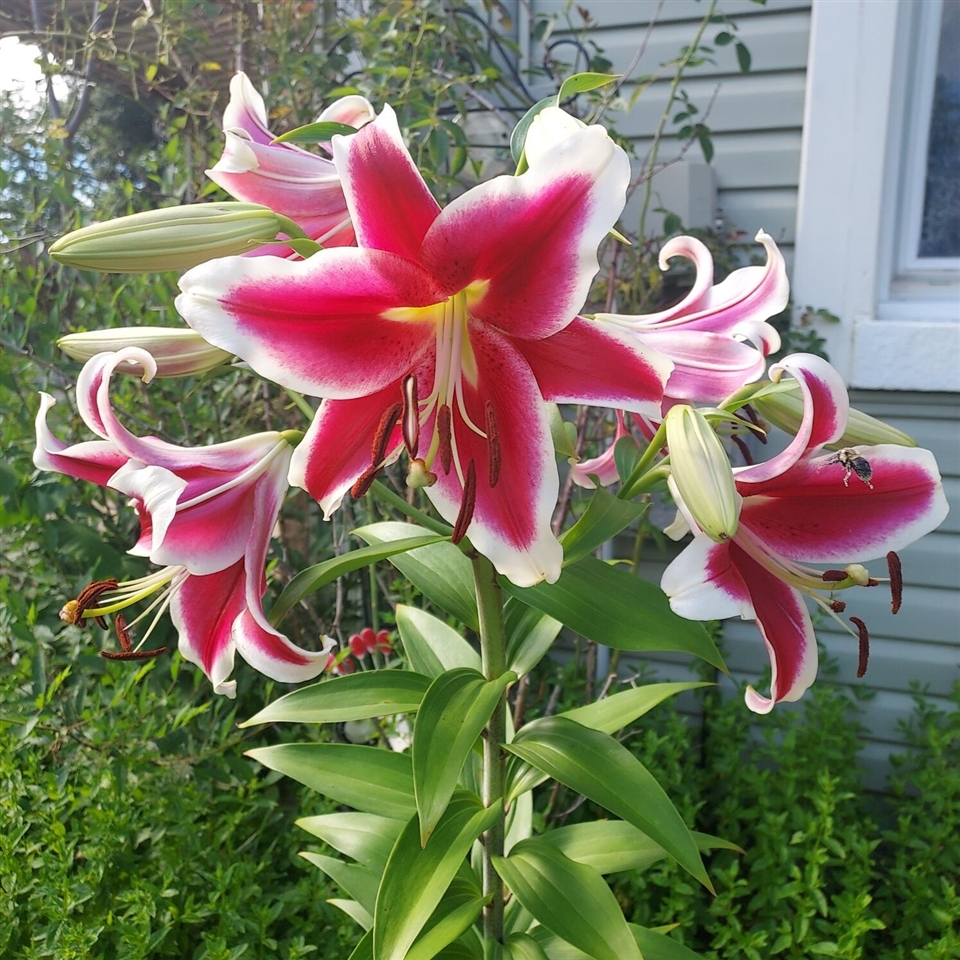 Homes for sale in Kalamazoo, MI | 1934 Nazareth Rd, Kalamazoo, MI 49048 | MLS# 70488059