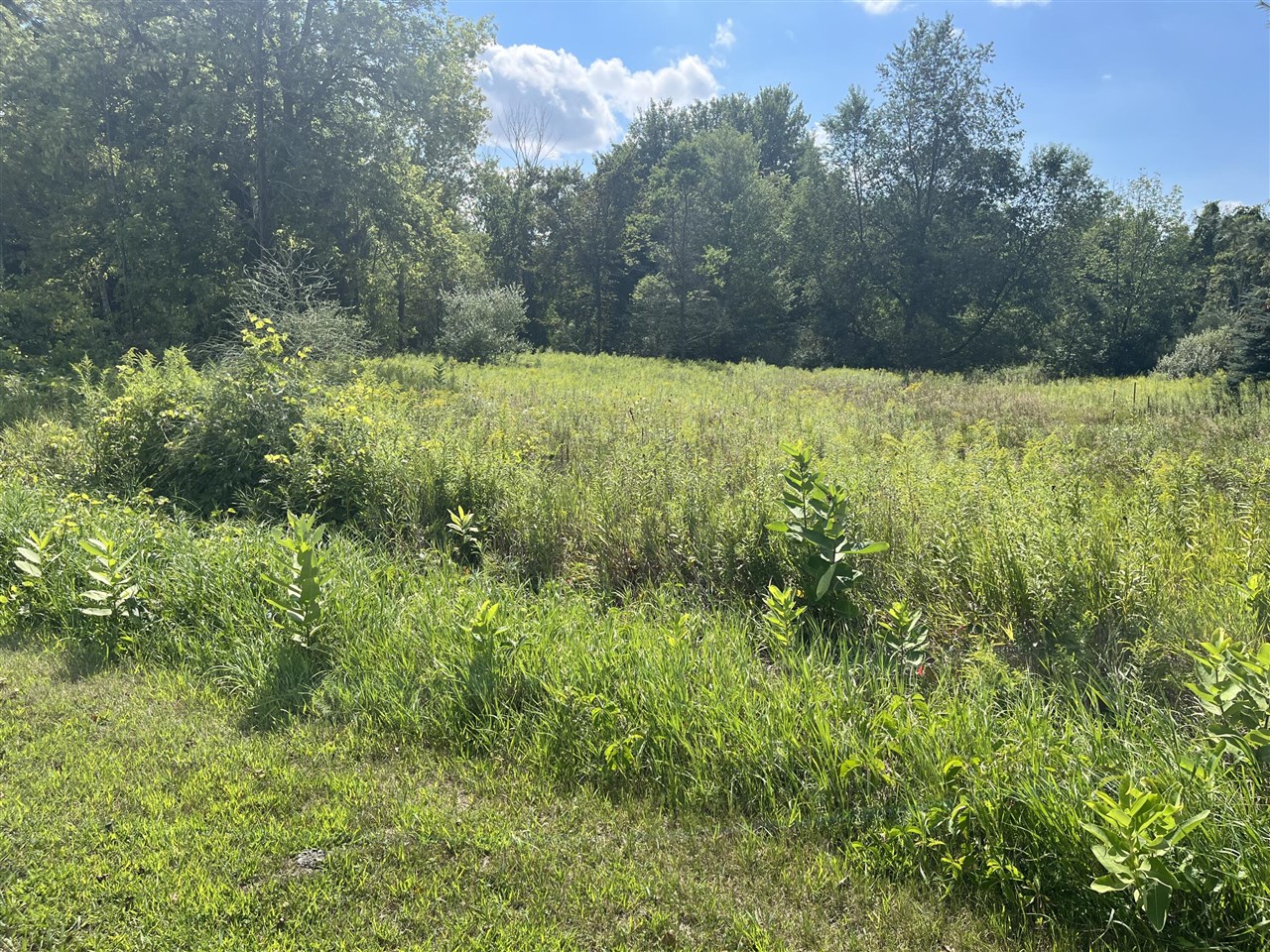 Homes for sale in Edmore, MI | V/l 3rd St, Edmore, MI 48829 | MLS# 70488565