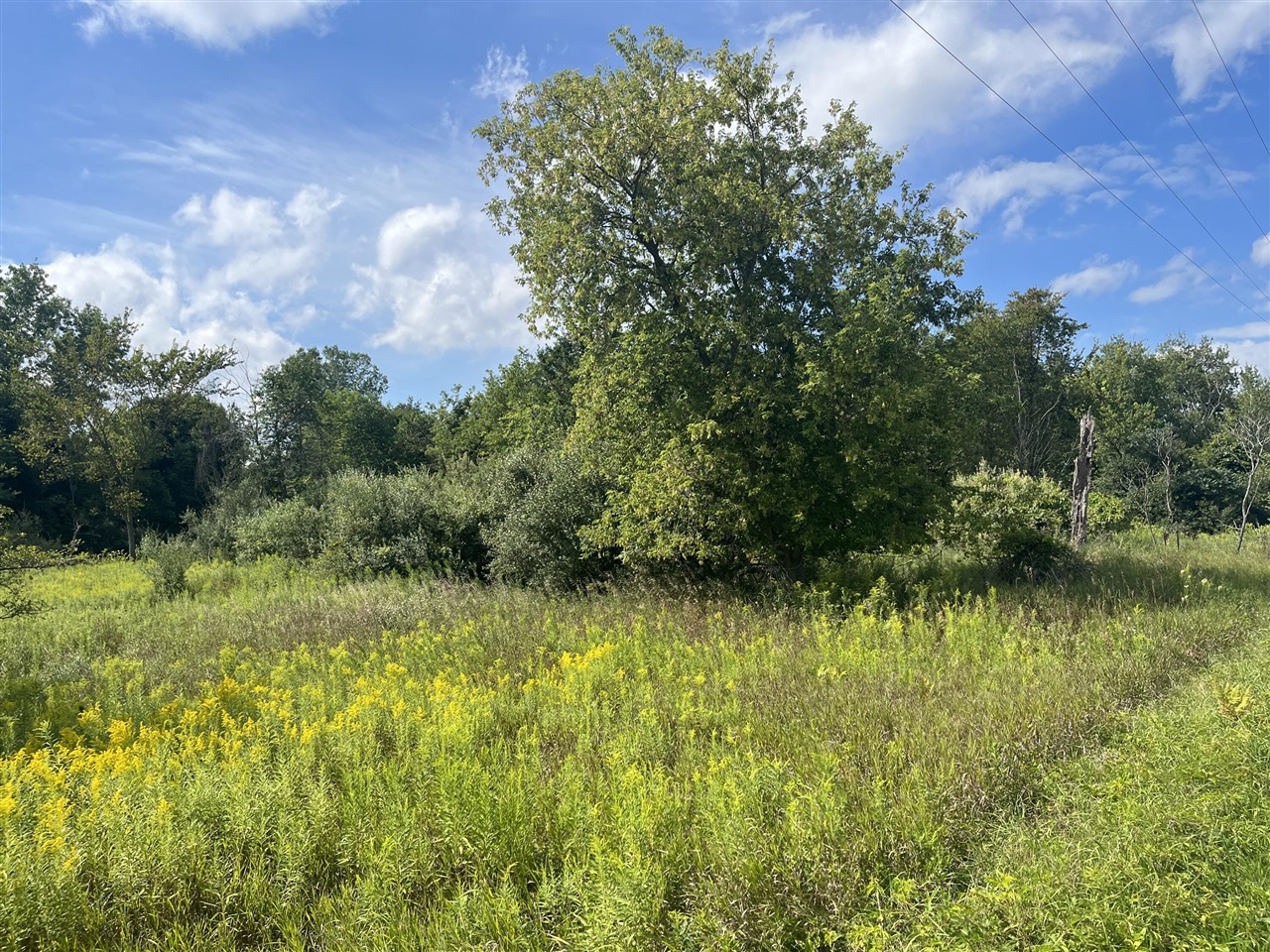 Homes for sale in Edmore, MI | V/L 3Rd St, Edmore, MI 48829 | MLS# 70488565