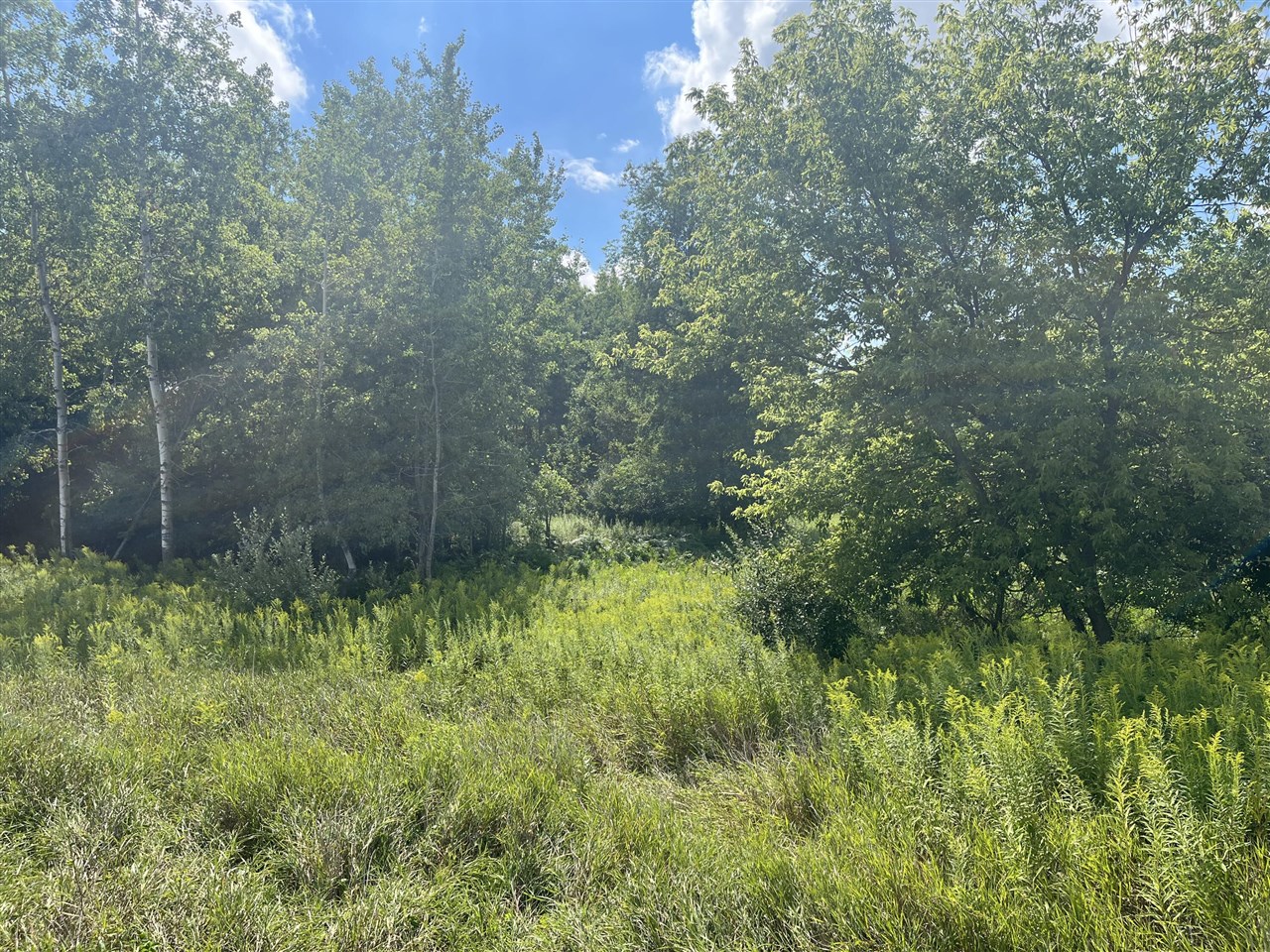 Homes for sale in Edmore, MI | V/L 3Rd St, Edmore, MI 48829 | MLS# 70488565