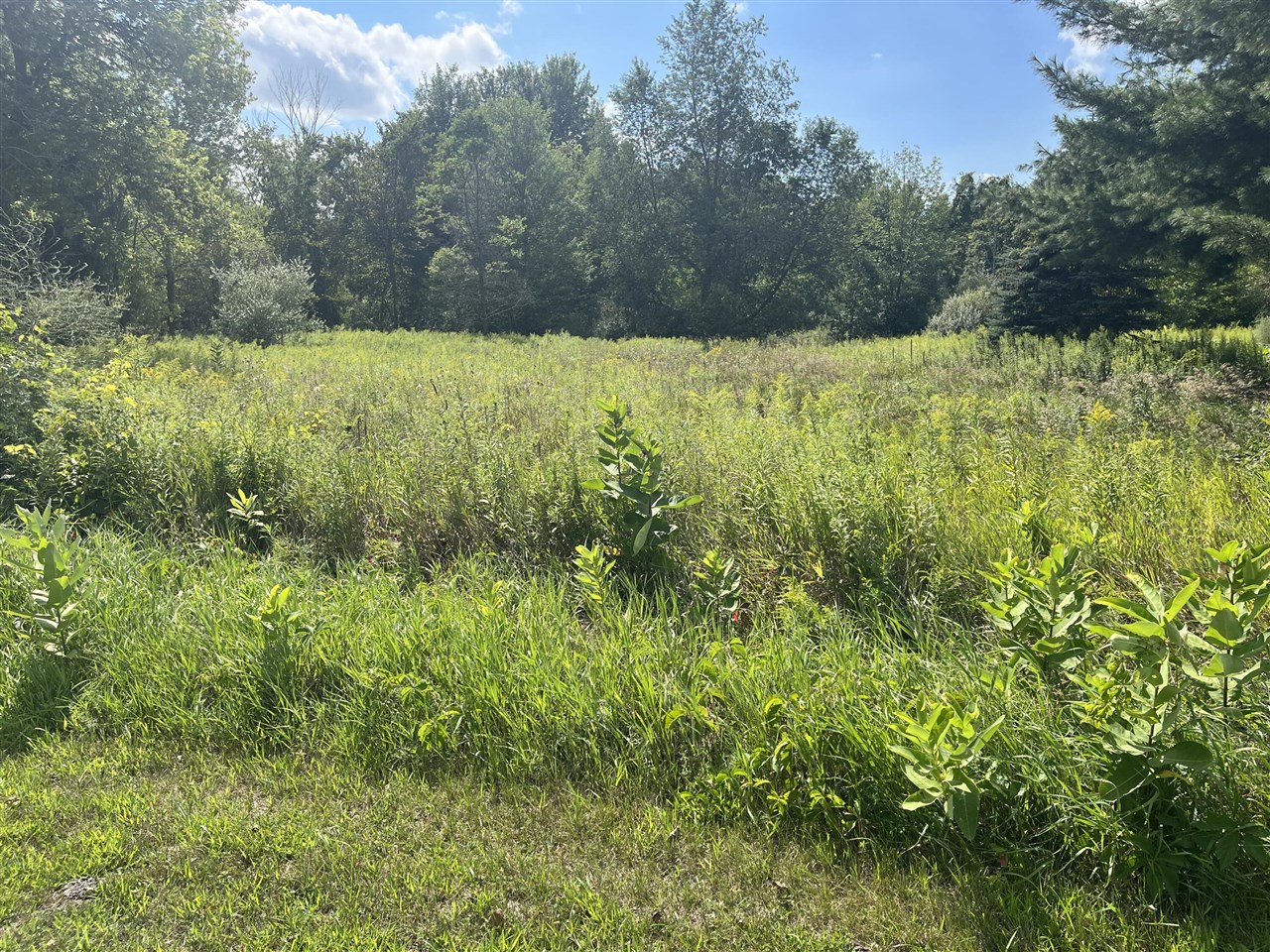 Homes for sale in Edmore, MI | V/L 3Rd St, Edmore, MI 48829 | MLS# 70488565