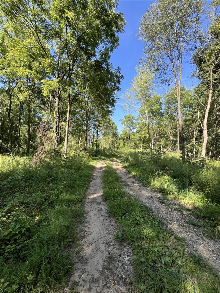 Homes for sale in Galesburg, MI | 128 Washington St, Galesburg, MI 49053 | MLS# 70488839