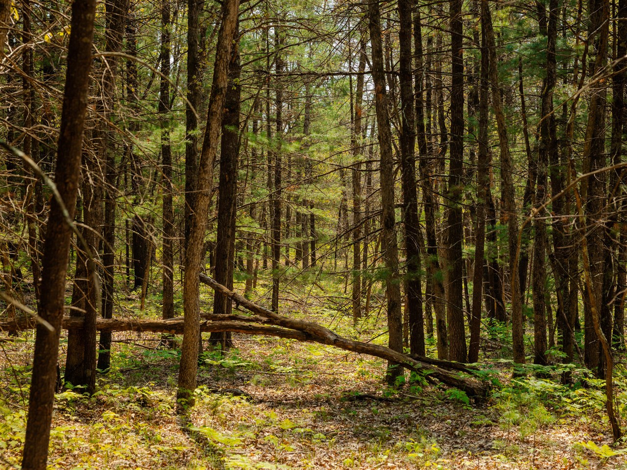 Homes for sale in Free Soil, MI | Parcel 2 E Koenig Rd, Free Soil, MI 49411 | MLS# 70489023