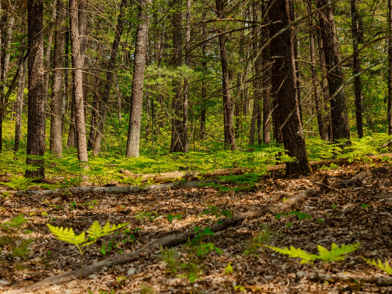 Homes for sale in Free Soil, MI | Parcel 2 E Koenig Rd, Free Soil, MI 49411 | MLS# 70489023