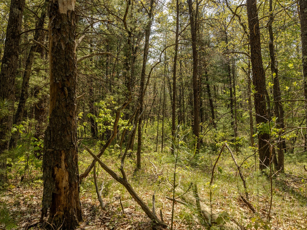 Homes for sale in Free Soil, MI | Parcel 1 E Koenig Rd, Free Soil, MI 49411 | MLS# 70489024