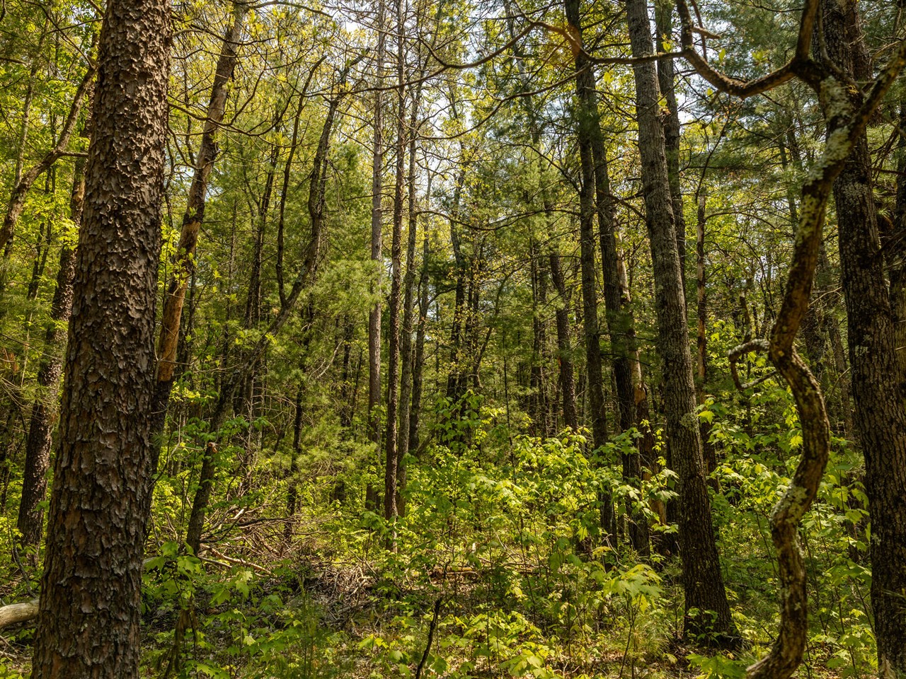 Homes for sale in Free Soil, MI | Parcel 1 E Koenig Rd, Free Soil, MI 49411 | MLS# 70489024