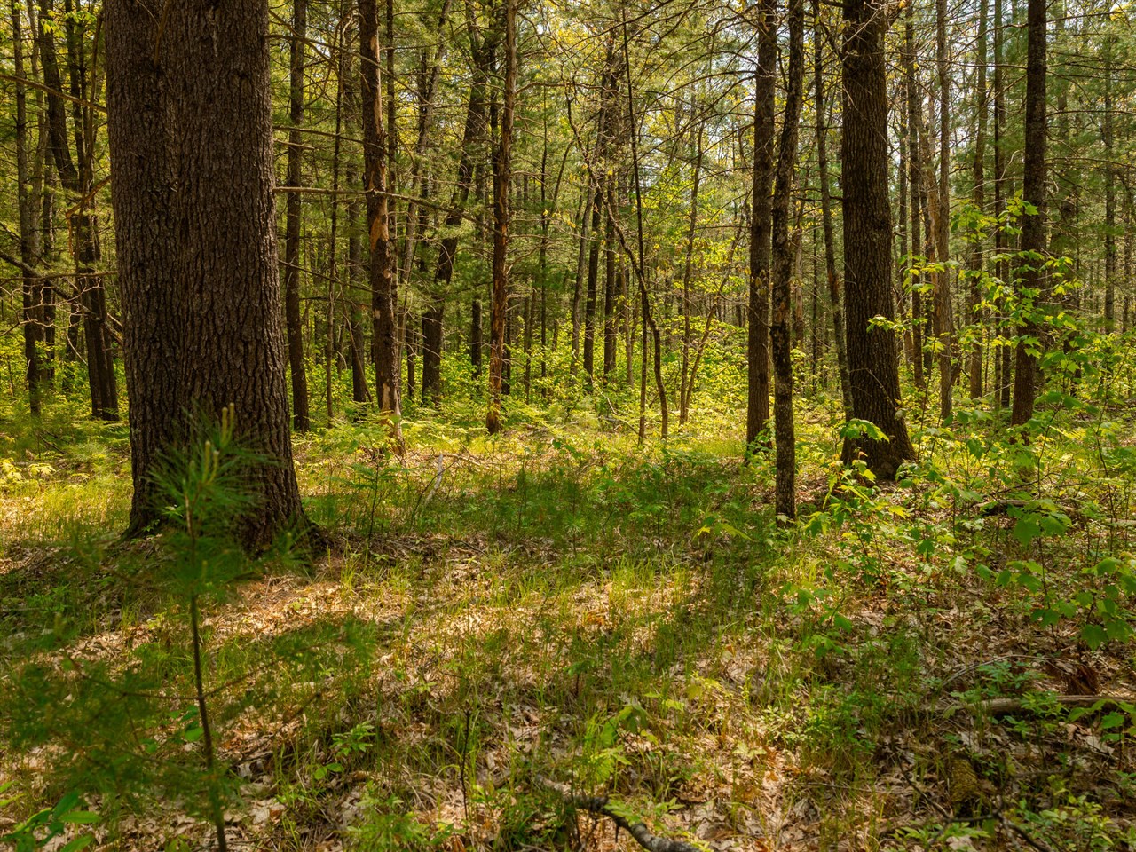 Homes for sale in Free Soil, MI | Parcel 1 E Koenig Rd, Free Soil, MI 49411 | MLS# 70489024