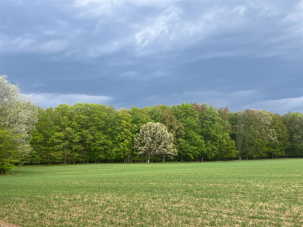 Homes for sale in New Era, MI | 5321 S 36Th Ave, New Era, MI 49446 | MLS# 70489785