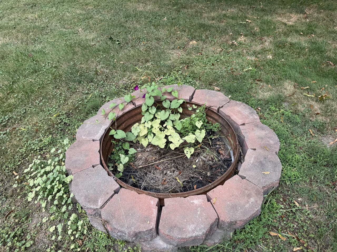 Homes for sale in Fremont, MI | 109 E Pine St, Fremont, MI 49412 | MLS# 70489813