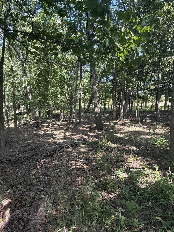 Homes for sale in Lyons, MI | 781 Hopkins Rd, Lyons, MI 48851 | MLS# 70489846