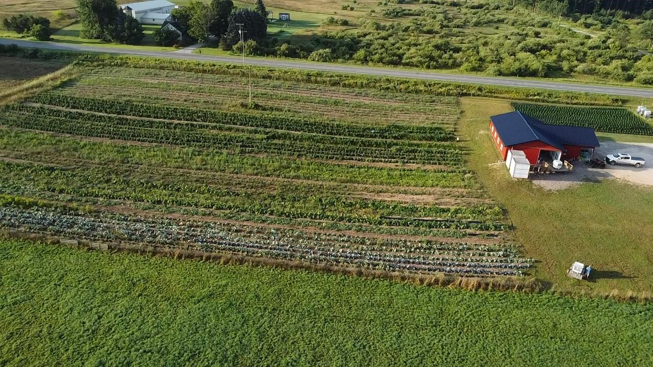 Homes for sale in Brethren, MI | 10022 Coates Hwy Hwy, Brethren, MI 49619 | MLS# 70489927