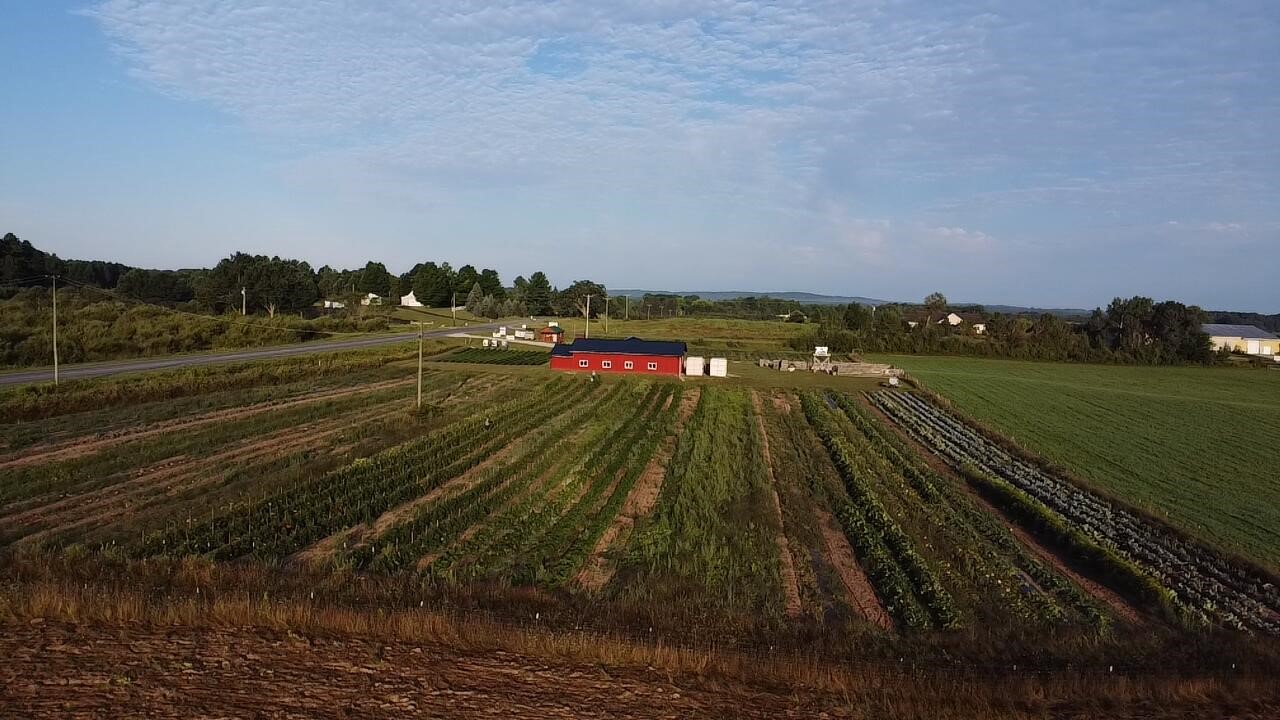 Homes for sale in Brethren, MI | 10022 Coates Hwy Hwy, Brethren, MI 49619 | MLS# 70489927