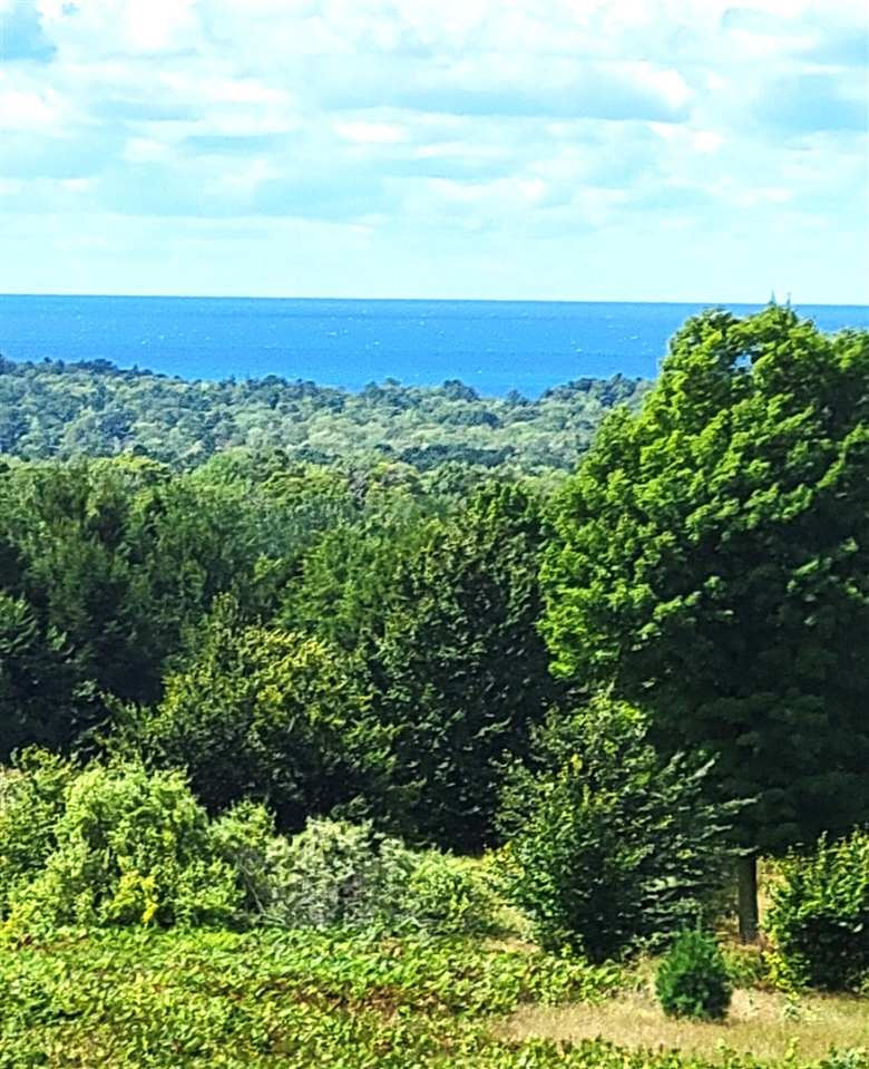 Homes for sale in Onekama, MI | North Slope Dr, Onekama, MI 49675 | MLS# 70490420