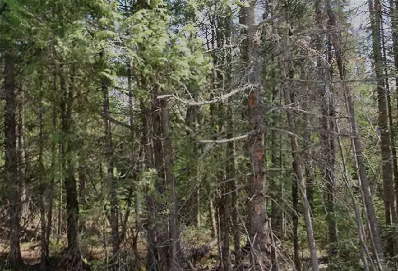 Homes for sale in Grand Haven, MI | 14371 Lakeshore Dr, Grand Haven, MI 49417 | MLS# 70490444