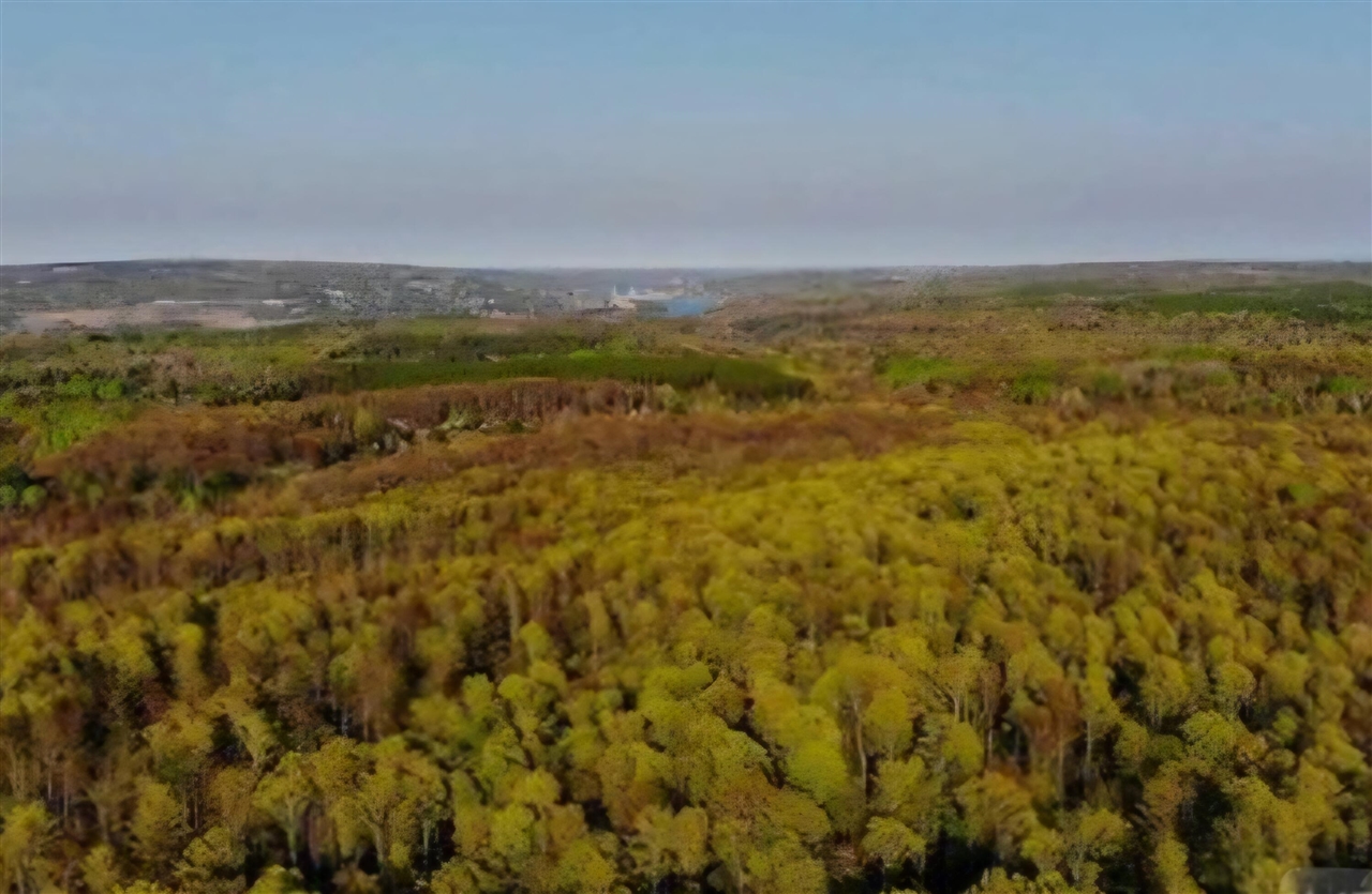 Homes for sale in Grand Haven, MI | 14371 Lakeshore Dr, Grand Haven, MI 49417 | MLS# 70490444