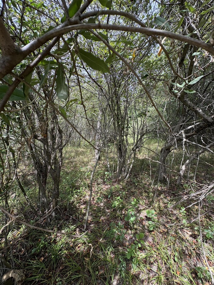 Homes for sale in Evart, MI | Lot 519 & 520 Lake Miramachi, Evart, MI 49631 | MLS# 70490495