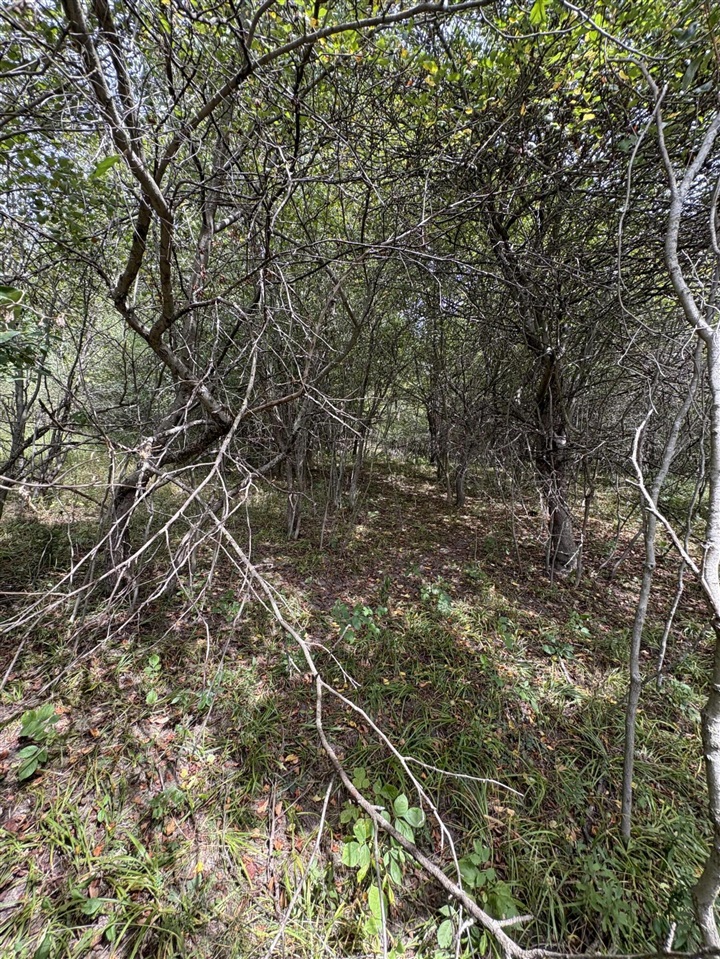 Homes for sale in Evart, MI | Lot 519 & 520 Lake Miramachi, Evart, MI 49631 | MLS# 70490495