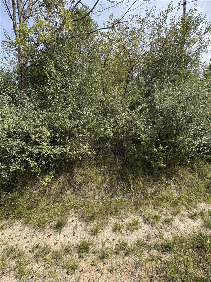 Homes for sale in Evart, MI | Lot 519 & 520 Lake Miramachi, Evart, MI 49631 | MLS# 70490495