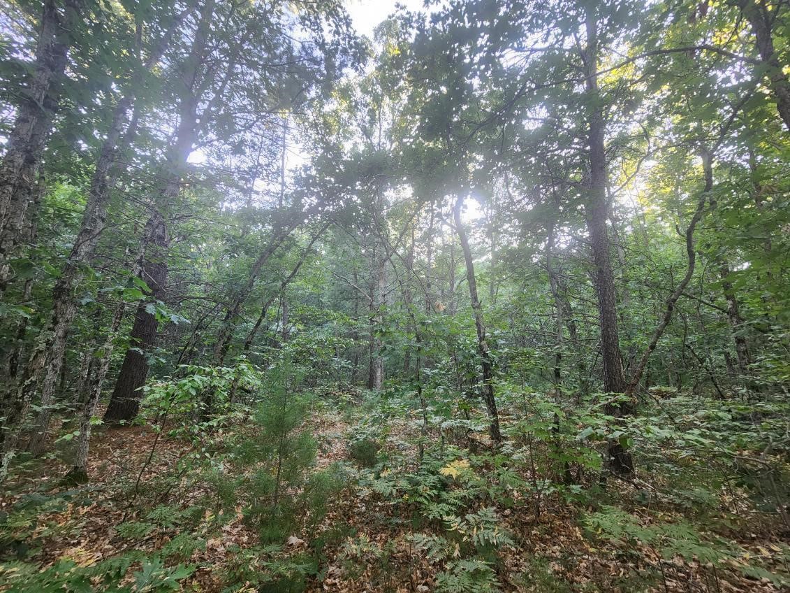 Homes for sale in Holton, MI | V/l Whitmire Rd, Holton, MI 49425 | MLS# 70490618