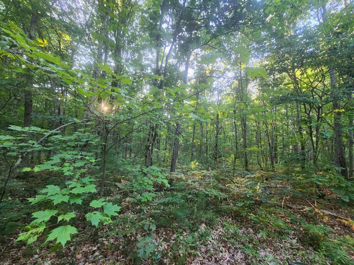 Homes for sale in Holton, MI | V/L Whitmire Rd, Holton, MI 49425 | MLS# 70490618