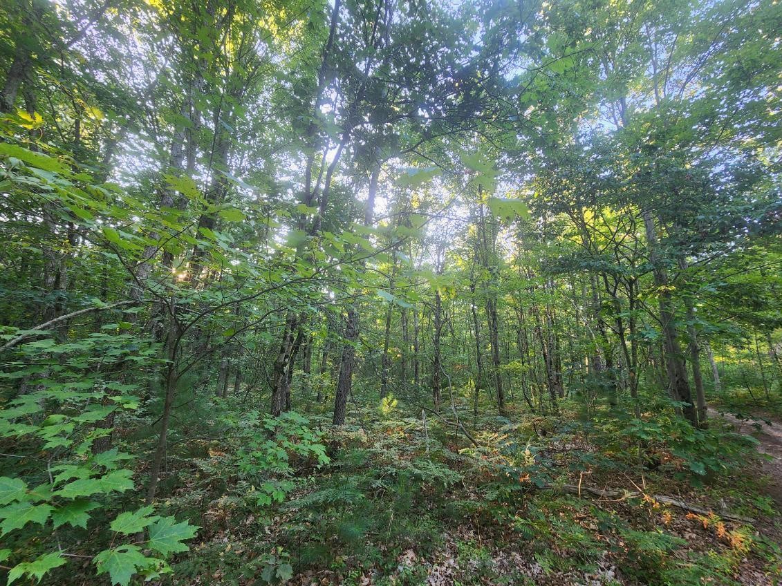 Homes for sale in Holton, MI | V/L Whitmire Rd, Holton, MI 49425 | MLS# 70490618