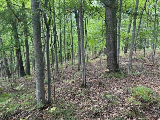 Homes for sale in Twin Lake, MI | 3518 Sunrise Ridge, Twin Lake, MI 49457 | MLS# 70490689