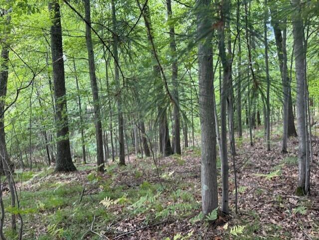 Homes for sale in Twin Lake, MI | 3518 Sunrise Ridge, Twin Lake, MI 49457 | MLS# 70490689