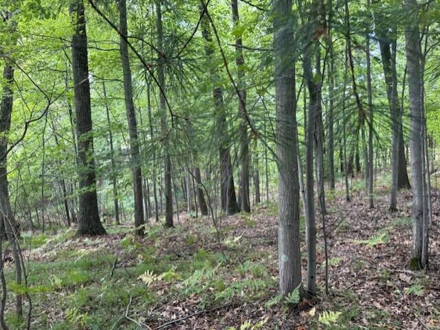 Homes for sale in Twin Lake, MI | 3518 Sunrise Ridge, Twin Lake, MI 49457 | MLS# 70490689